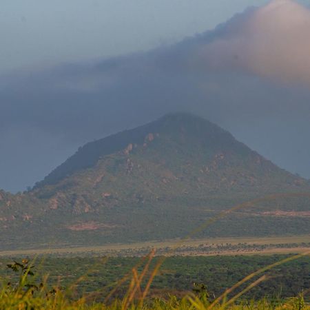 Voi Safari Lodge Kültér fotó