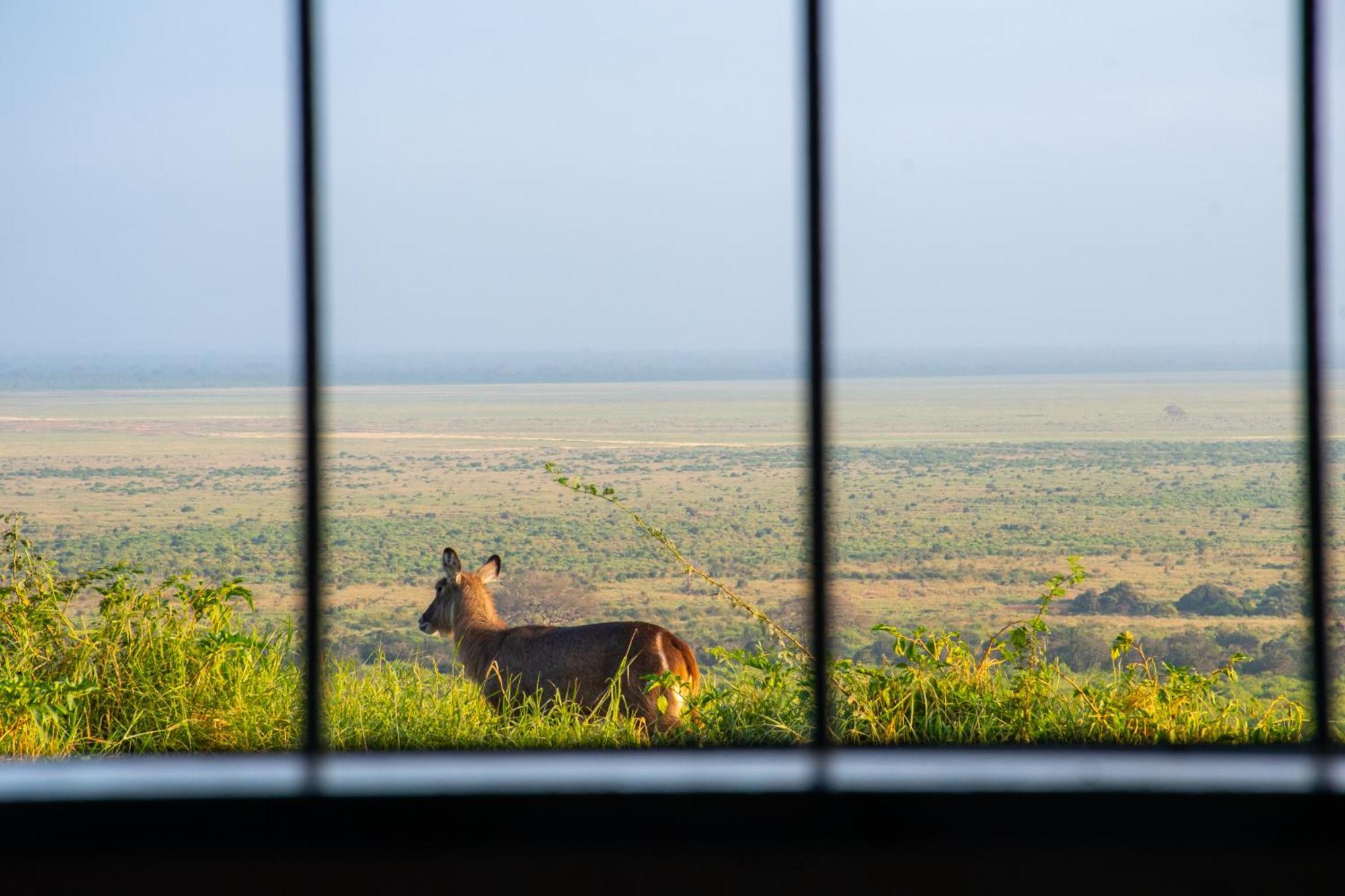 Voi Safari Lodge Kültér fotó