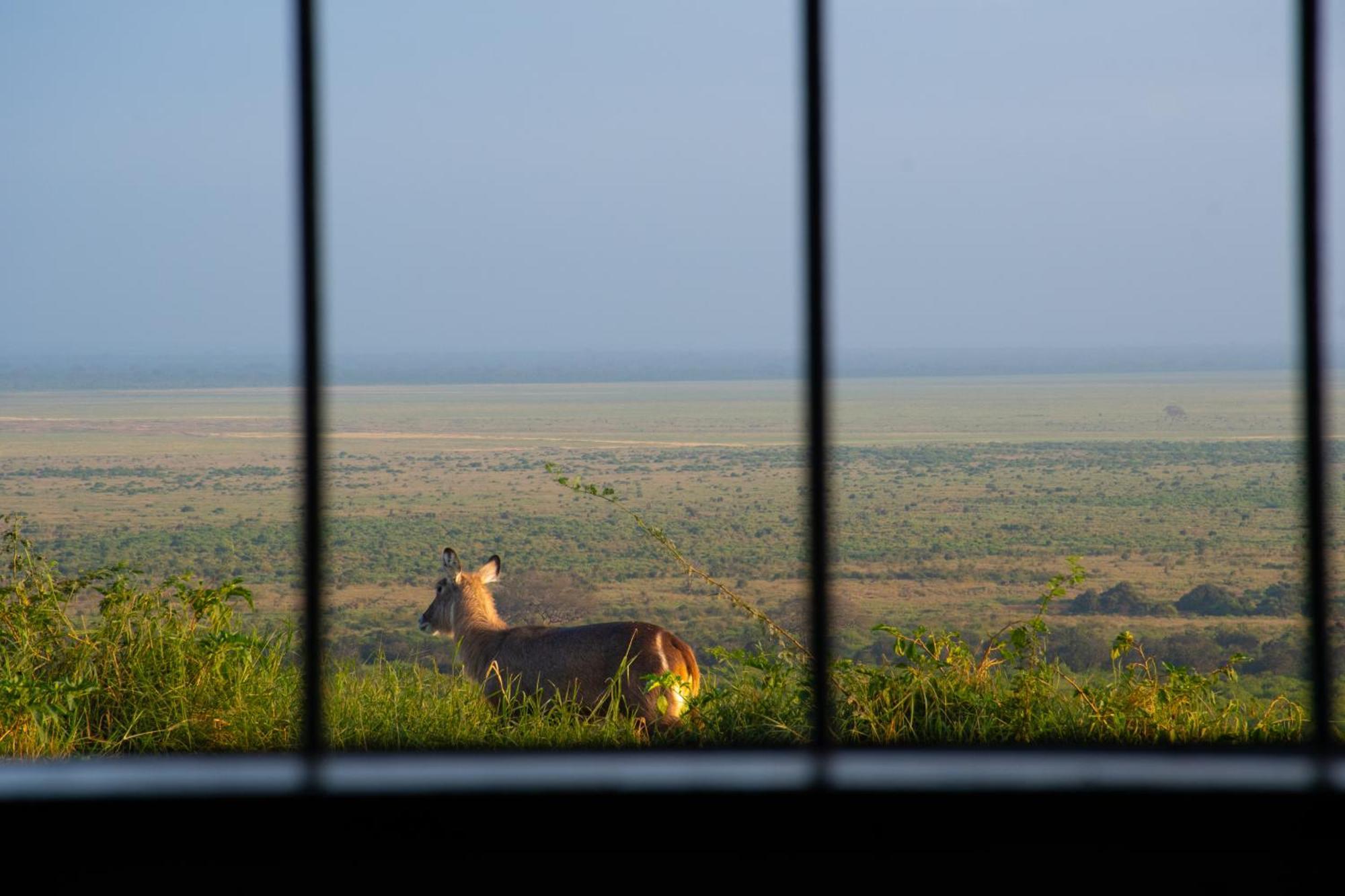 Voi Safari Lodge Kültér fotó