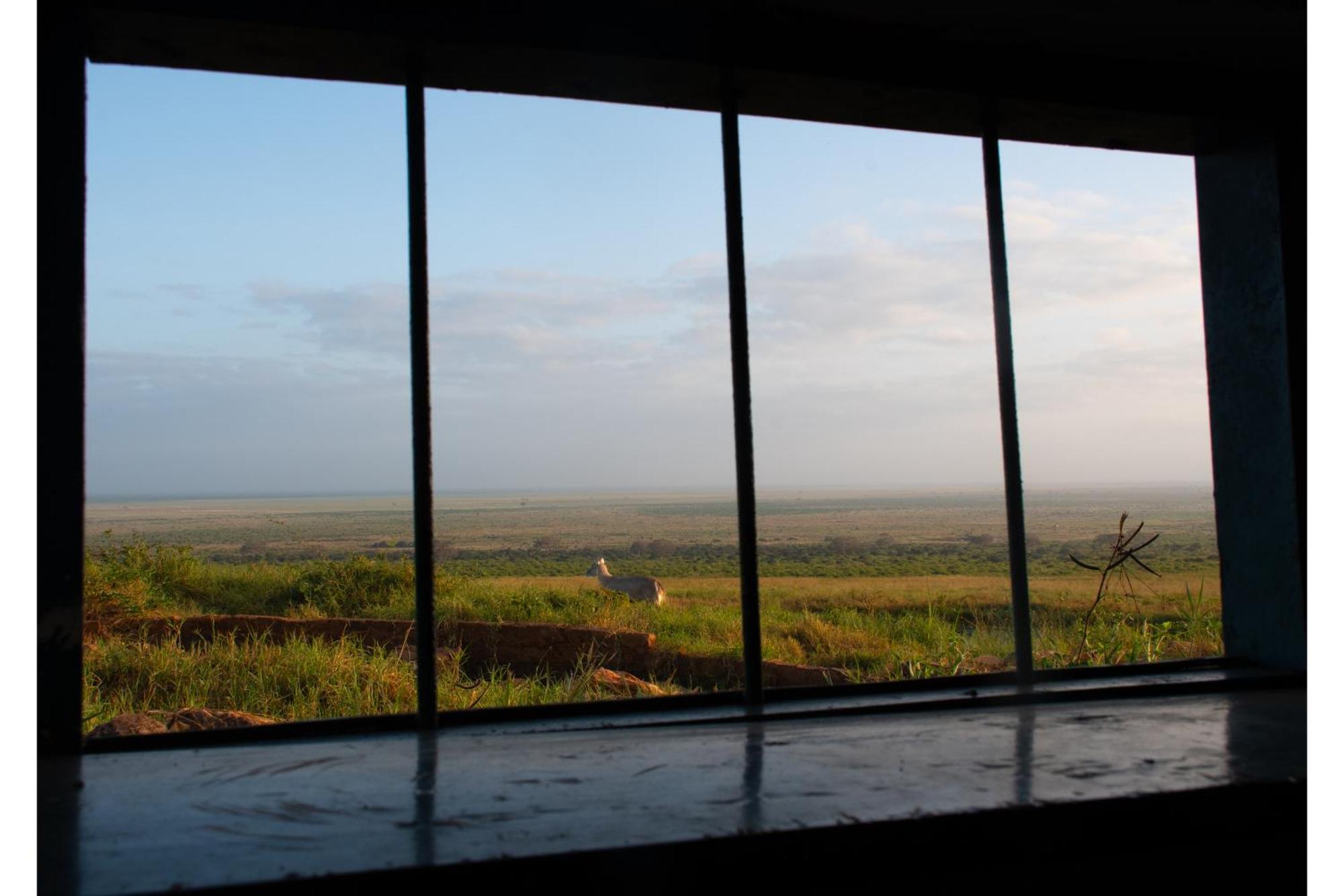 Voi Safari Lodge Kültér fotó